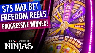 VGT SLOTS  75 MAX BET FREEDOM REELS  BUFFALO PROGRESSIVE GRAND WIN [upl. by Pik]