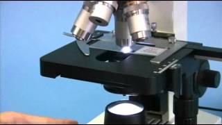 OMAX 40X2000X Biological Compound Microscope with Mechanical Stage and LED Light [upl. by Annovoj861]