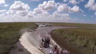 Everglades Airboat Ride at Gator Park Miami [upl. by Fletcher]