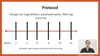 Use of Disposable Ventilated Cages to Maintain GermFreeGnotobiotic Mice Without Contamination [upl. by Ody661]