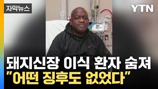 자막뉴스 신장 잘 작동했는데돼지신장 이식 환자 끝내 숨져  YTN [upl. by Albemarle]