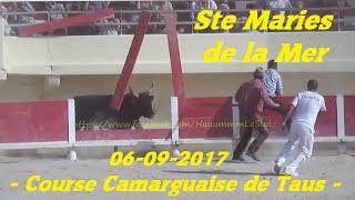 Ste Maries de la MerTausCourse Camarguaise06092017 [upl. by Eecrad]