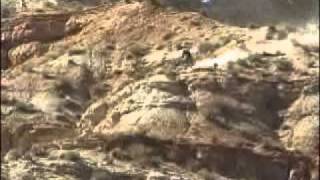 Lance Canfield  2001 Redbull Rampage [upl. by Naiditch960]