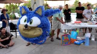 Sonic the Hedgehog Pinata [upl. by Idaline239]