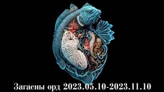 Загасны орд 2023051020231110 [upl. by Burnham]