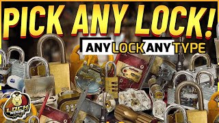 Pick EVERY Type of Lock [upl. by Hynda736]