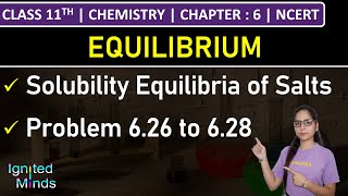 Class 11th Chemistry  Solubility Equilibria of Salts  Problem 626 to 628  Chapter 6  NCERT [upl. by Jeffery502]