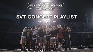 SVT PLAYLIST 고양종합운동장 같이 갈 캐럿 구함  세븐틴 콘서트 플레이리스트  고양콘 셋리  콘서트 음향  고양 콘서트 세트리스트 [upl. by Holleran]