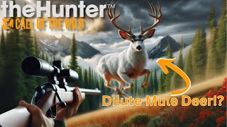 I Ended the Video Then Shot a Trophy  theHunter Call of the Wild [upl. by Nylesaj]