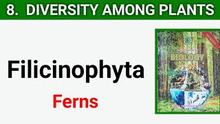 Filicinophyta  pteropsida  Diversity Among Plants class 11 [upl. by Junko513]