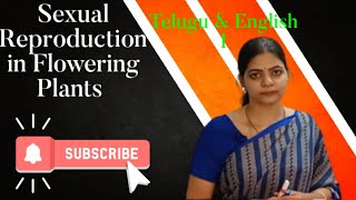 Sexual Reproduction in Flowering PlantsEnglishampTelugu1Class12 Biology LathaAkulaBiologyTutorial [upl. by Ahsimot353]