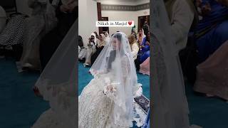 Nikah in masjid 🥺♥️ Lofi Slowed amp Reverb  Aesthetic 🦋 [upl. by Yahsan]