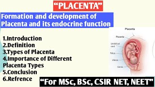 Placenta  Types of Placenta  Formation and development of Placenta and its endocrine function [upl. by Carman]