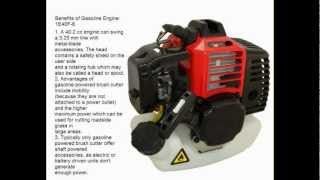 Brush Cutter Info and Uses Guide [upl. by Artinek]