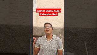 İncirler Olana Kadar Kalsaydın Bariilyasyalçıntaşincir muzik şarkı [upl. by Hare863]