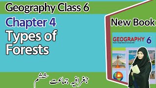 6th Class Geography Chapter 4 Types of Forests  Class 6 Geography Chapter 4 [upl. by Arej]