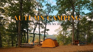 4K 🏕 Autumn in Countryside Forest  Camping with My Dog  Snow Peak tent Entry 2 Room Elfield [upl. by Lan]