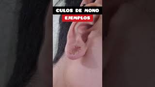 🔴 ¿QUE SON LOS CVLOS DE MONO EN LAS OREJAS DILATADAS dilataciones expansiones piercings [upl. by Davena]