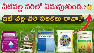 వామ్మో వీటి వల్ల వరిలో పిలకలు రావా  ferterrabarrozcoskovirtako use in paddy  varilopilakalu [upl. by Trilly]