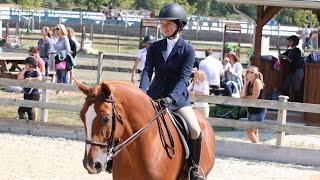 HORSE SHOW VLOG 5 week 2 of Tbird [upl. by Stroup]