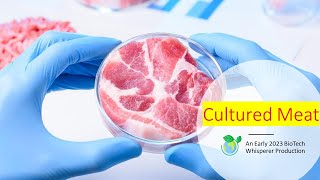 Cultured Meat Explained in 10 Minutes [upl. by Attlee]