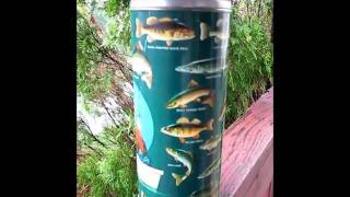 1950s Aladdin Angler Thermos Bottle [upl. by Enaj]