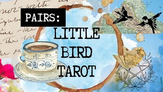 Pairing the Little Bird Tarot [upl. by Durtschi]