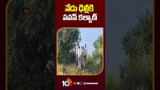 Sajjala Ramakrishna Key Comments on Rushikonda Palace l NTV [upl. by Atnohsal968]