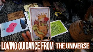 Pick A Card  Loving Guidance From The Universe🥰 [upl. by Bobinette]