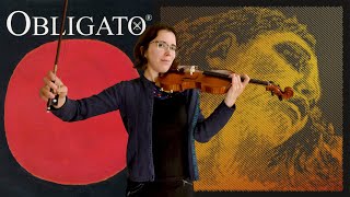 Violin String Comparison  Evah Pirazzi Gold vs Obligato  playing Beatiful Love Jazz Standard [upl. by Briggs724]