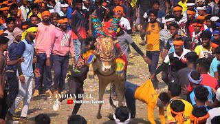 Top Bennegeri Horihabba 2024 Part 2 ಬೆಣ್ಣೆಗೇರಿ ಹೋರಿಹಬ್ಬ 2024  horihabba jallikattu [upl. by Airlie26]