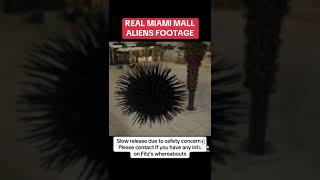 CMGPROMOTIONSZ PREsents Real Alien footage Miami Mall [upl. by Riada192]