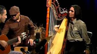 El Tren Lechero  Nicolas Carter on Paraguayan harp [upl. by Curtice]