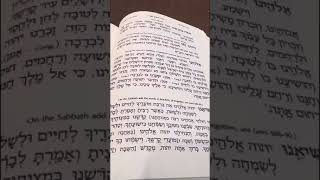 Chazan Nathan Gluck  Nusach Yom Tov Amida Part 1 [upl. by Eulalie]