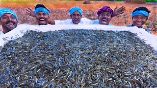 10 MILLION TINY FISHES  Ayira Meen  Rare River Fish Cleaning and Cooking In Village  Fish Recipes [upl. by Enirbas]