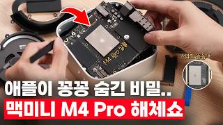 동시에 뜯어보니 급차이 미쳤네 M4 Pro vs M4 맥미니 2대 해체쇼 [upl. by Assillem]