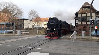 🚂🚂🌲🌲🎅🎅 Die Selketalbahn am Nikolaustag 06122024🎅🎅🌲🌲🚂🚂 [upl. by Cocks549]