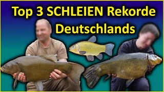 Top 3 Rekord SCHLEIEN Deutschlands  schleien angeln [upl. by Halet]