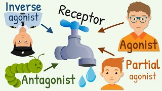 Agonist Partial Agonist Antagonist and Inverse Agonist for Receptors [upl. by Asile]