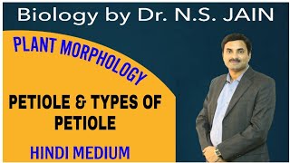 Petiole amp Types of Petiole Plant Morphology  Hindi Medium [upl. by Tedi]