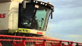 Anvil Media  Claas Lexion promotional video [upl. by Edahsalof]