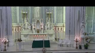 St John Evangelist Live Stream [upl. by Nosnevets]