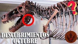 DESCUBRIMIENTOS OCTUBRE 2022 MISTERIOSOS AGUJEROS EN TREX MOMIA DE EDMONTOSAURUS TSUNAMIS Y MÁS [upl. by Lunna]