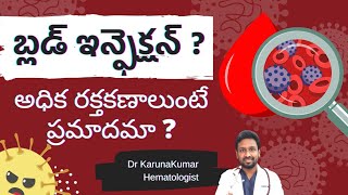 Blood Infection  High White blood cells  Sepsis  Facts  Dr Karuna Kumar  Hematologist [upl. by Eitisahc872]