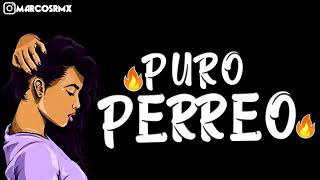 PURO PERREO 9🔥 BRASILERO 2019 MARCOS RMX [upl. by Maritsa]