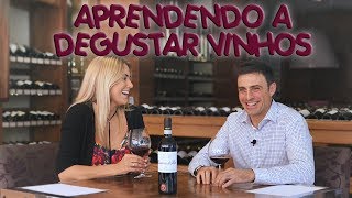 APRENDENDO A DEGUSTAR VINHOS  Divino Vinho [upl. by Ardene]