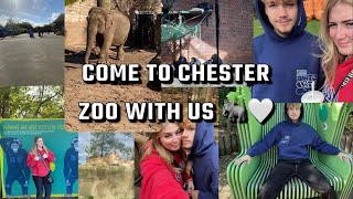 My honest opinions on Chester Zoo 📍🐘🤍 [upl. by Santini413]