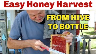 Beekeeping TIPS On Easiest Way To Harvest Honey [upl. by Plunkett]