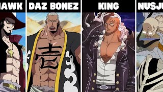 EVERY Zoro Fight in One Piece Explained [upl. by Leventhal220]