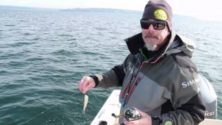 Learn How to Mooch for Salmon with Capt Keith Robbins [upl. by Aznaed]